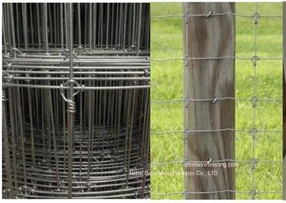 Cina Galvanized Grassland Cattle Wire Fence / Fixed Knot Woven Deer Pagar Untuk Gumput pemasok