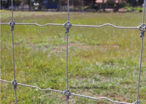 Cina Galvanized 5 FT Fixed Knot Woven Wire, Panel Pemeliharaan Kawat Ternak pemasok