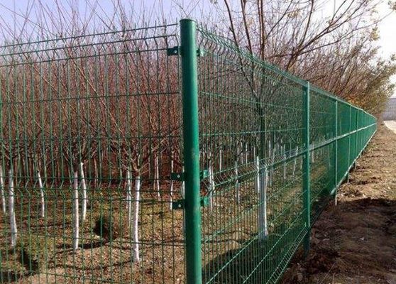 Cina Perkebunan Mesthic Galvanized Farm untuk Pohon Buah Penanaman pemasok
